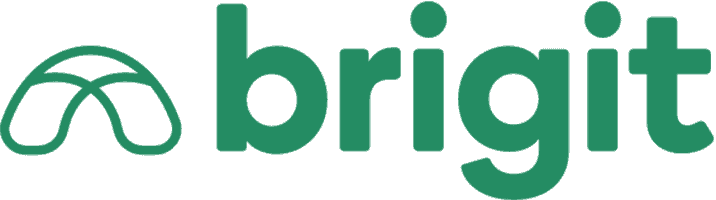 Brigit Logo